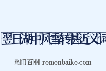 翌日湖中风雪转甚近义词是什么意思的图片